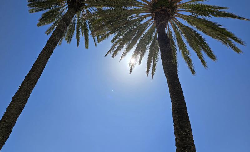 MÉTEO | Monotonia meteorològica, un dia més de sol i calor