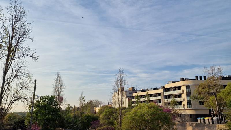 MÉTEO | El temps manté la seva rutina amb sol i núvols prims