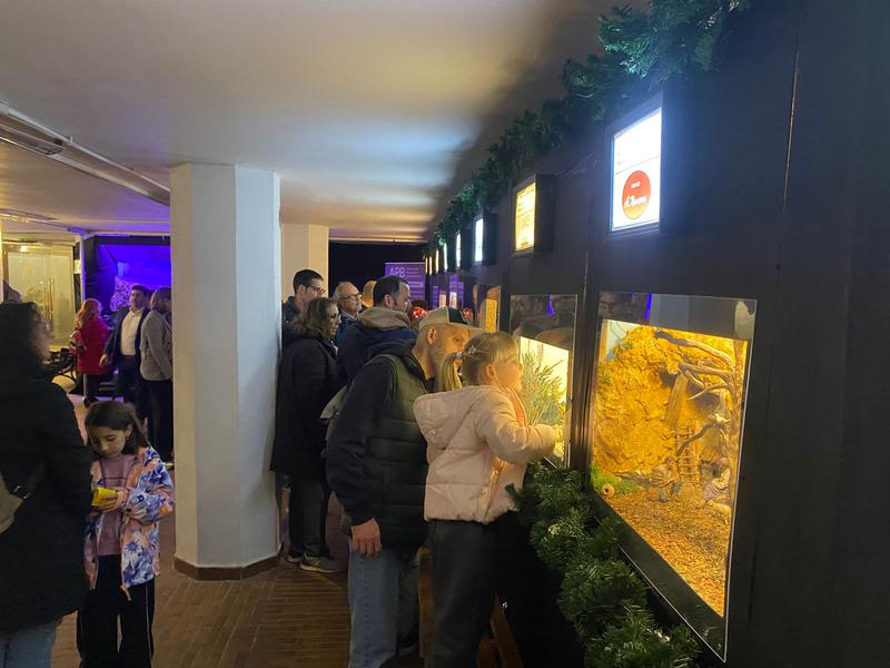 WhatsApp Image 2025-12-13 at 19.29.09