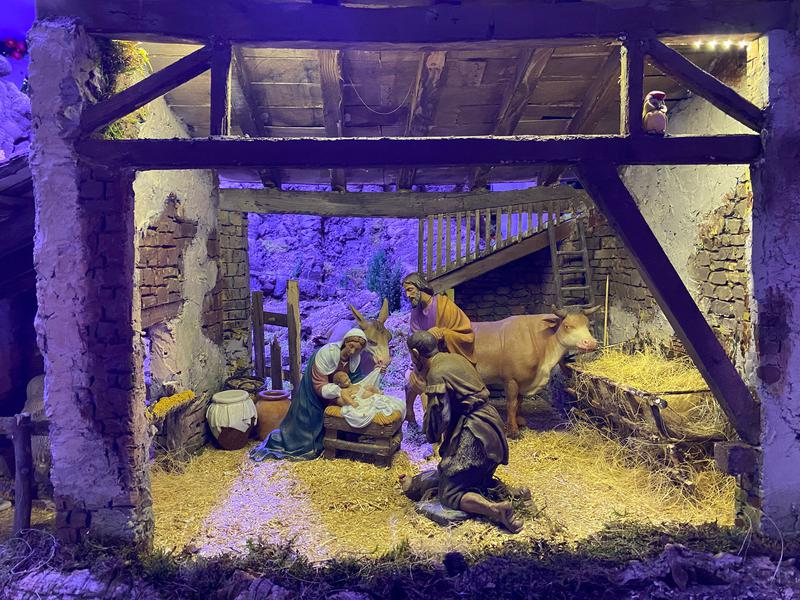 WhatsApp Image 2025-12-13 at 20.44.55 (2)