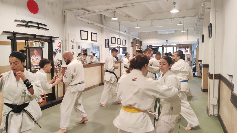 WhatsApp Image 2025-11-15 at 11.13.47