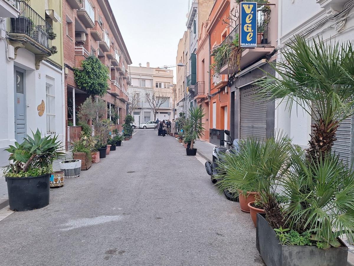 Les plantes del carrer de la Lluna finalment no es retiraran dilluns