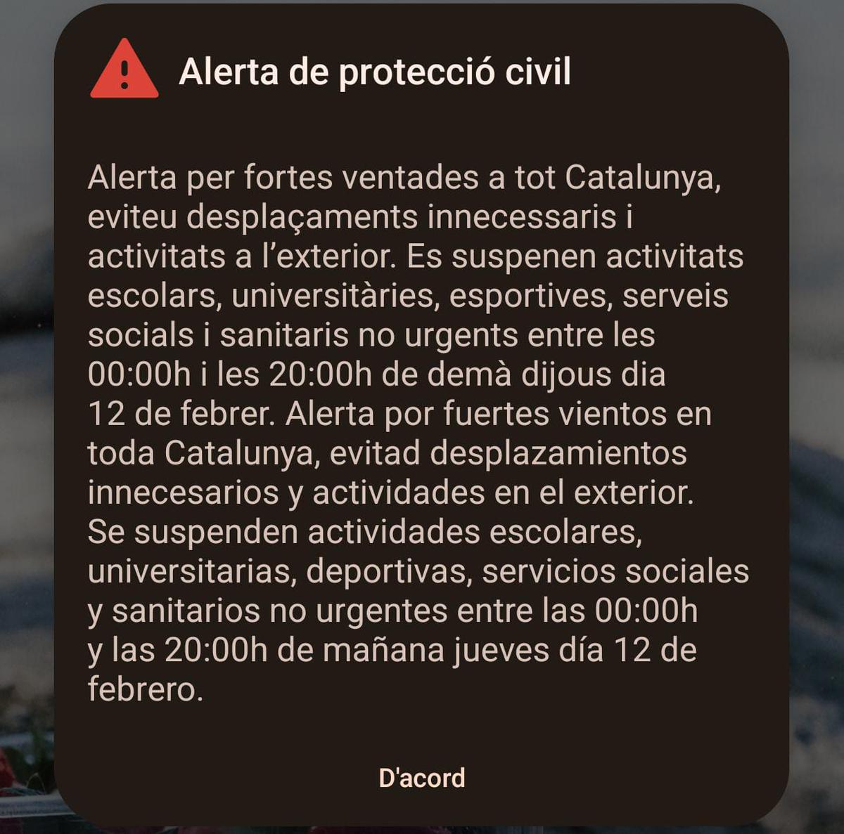 WhatsApp Image 2026-02-11 at 18.20.35