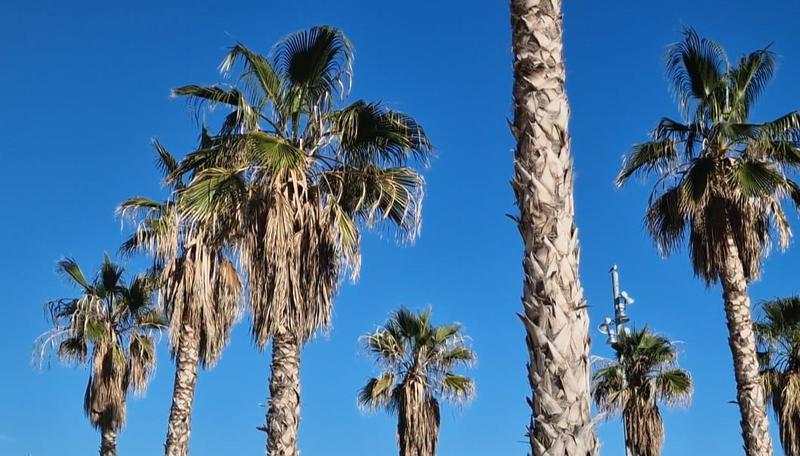MÉTEO | Torna el sol i la calor es reactiva: jornada estable abans de la Diada