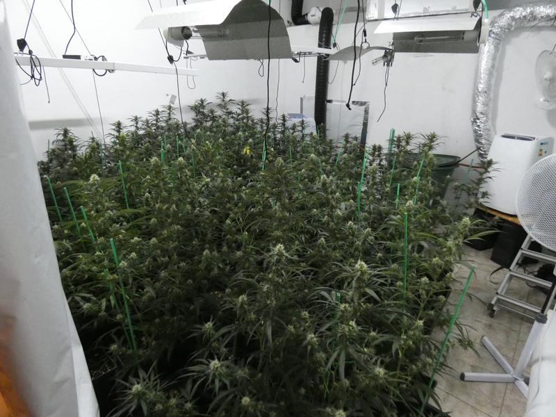 droga2