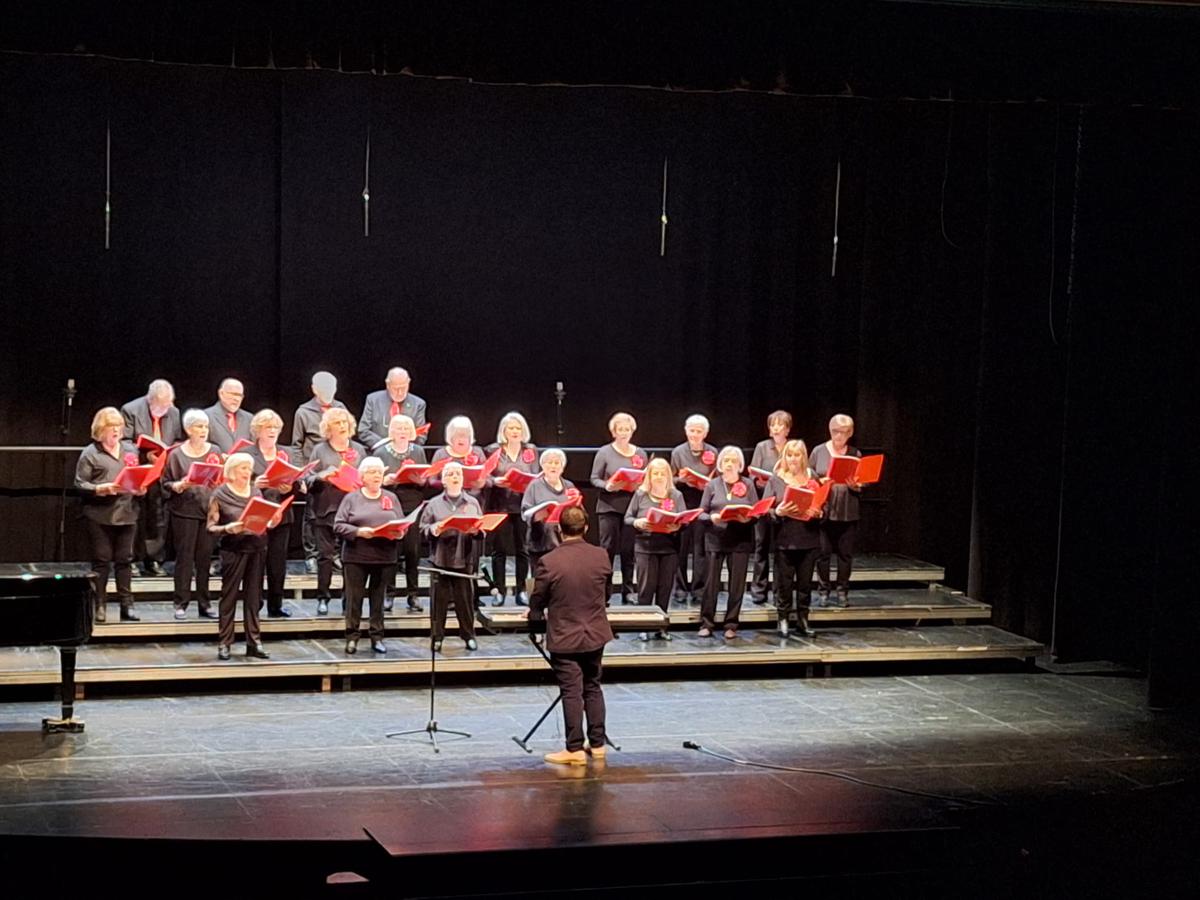 tercera gala sant valentí corals