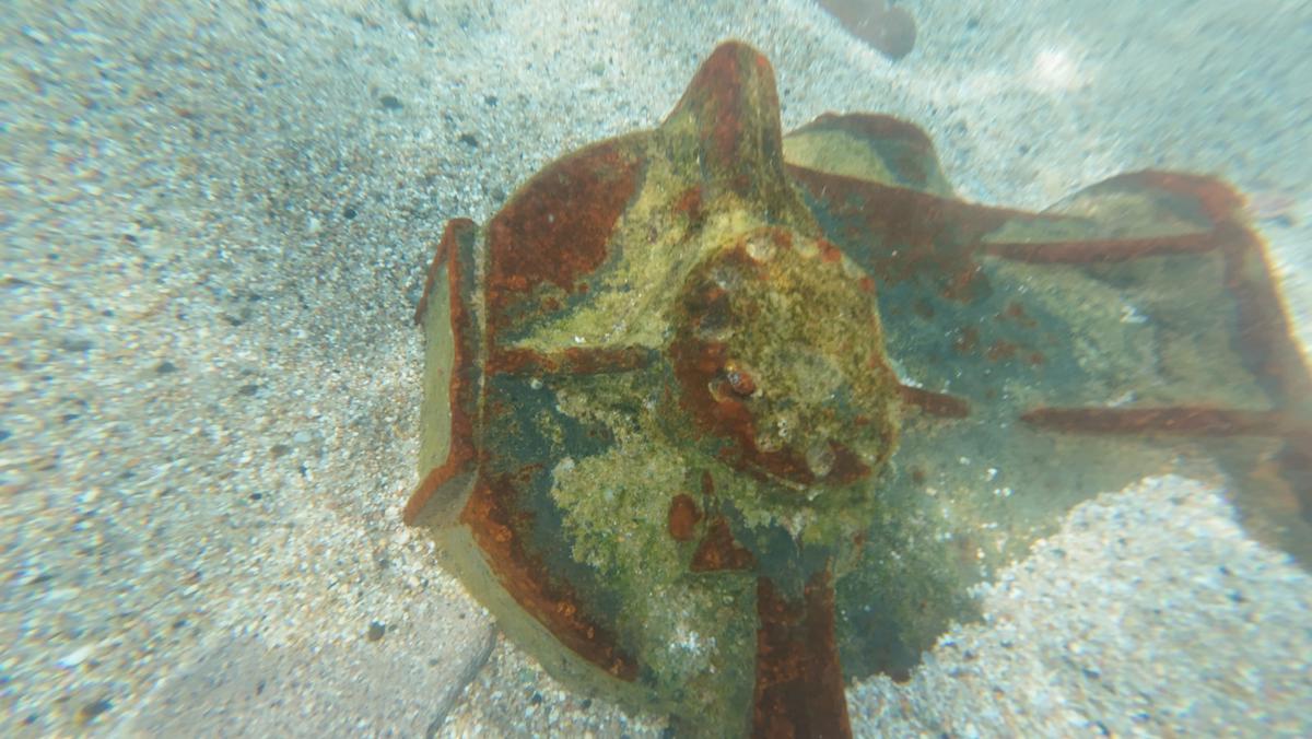 ERC alerta d'elements metàl·lics perillosos a la platja d'en Botifarreta