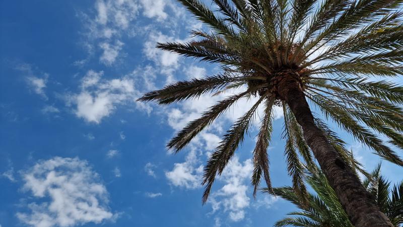 MÉTEO | Dimarts d'estabilitat a l'espera d'un canvi de temps  