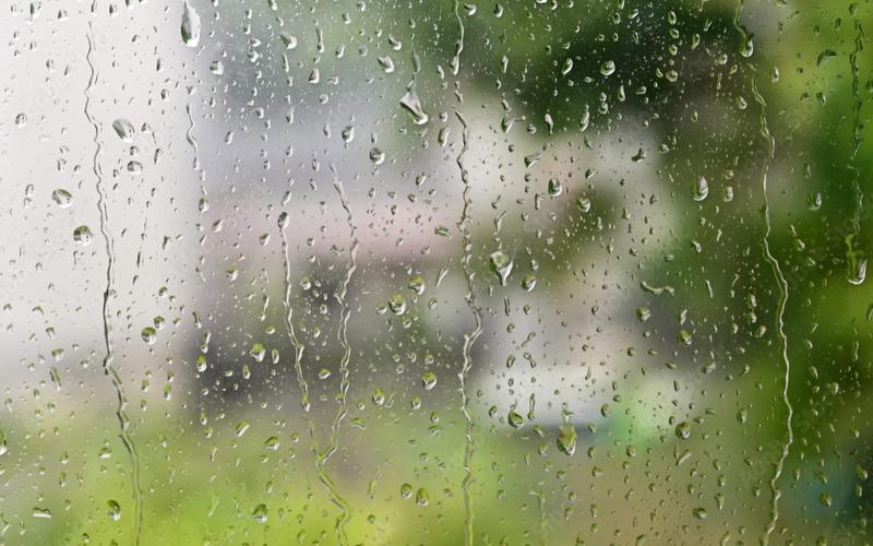 MÉTEO | Paraigua i abric: el temps inestable s'instal·la tota la setmana 