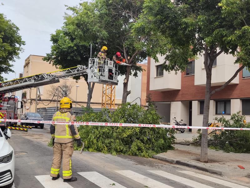 Tasques de reparació del paviment entre el carrer del Progrés i de l'avinguda República Argentina 