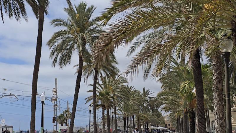MÉTEO | Comença una setmana amb més núvols i calor moderada