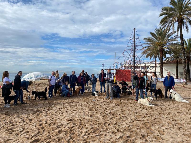 El col·lectiu Badalona Canina exigeix l'obertura immediata de la platja per a gossos