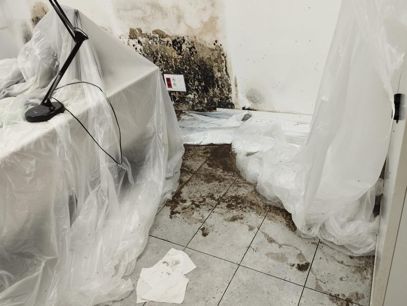 Els treballadors del CSMA de Santa Coloma denuncien falta de personal, presència de plagues i les males condicions de l'edifici