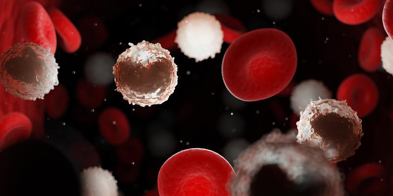 L'Institut de Recerca Josep Carreras impulsa un estudi sobre la inestabilitat cromosòmica en la leucèmia infantil