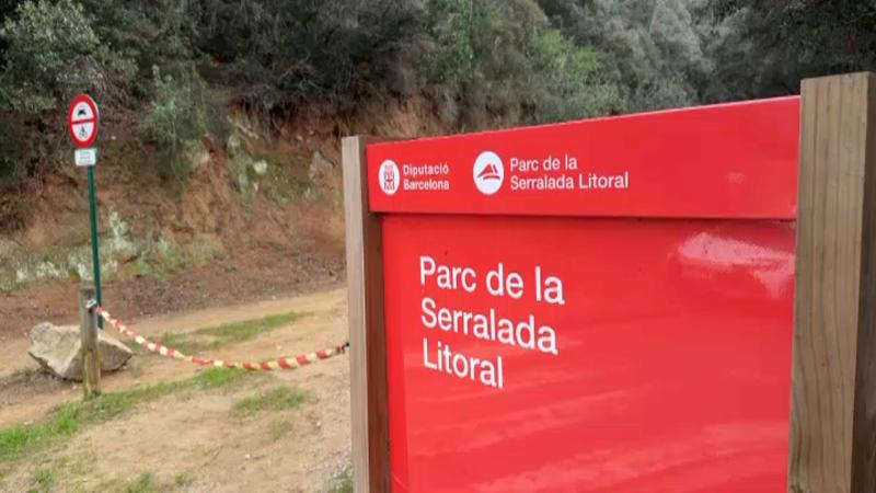 El Consell Comarcal del Maresme demana millores en la gestió forestal de la Serralada Litoral i Montnegre