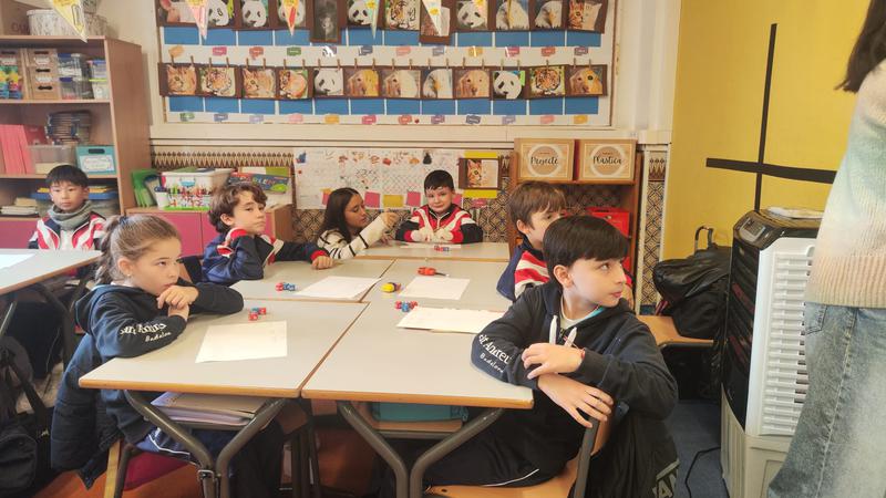 mateo pell papallona 9