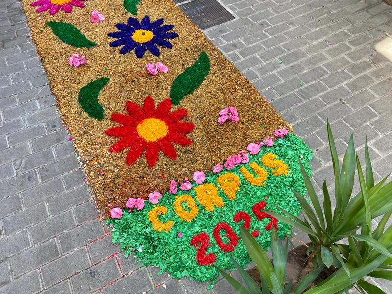 catifes dalt la vila corpus (2)