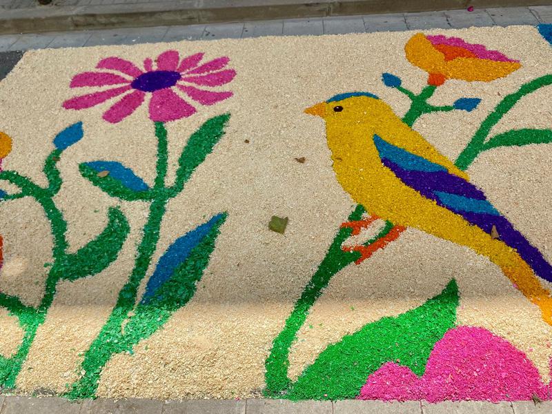 catifes dalt la vila corpus (1)