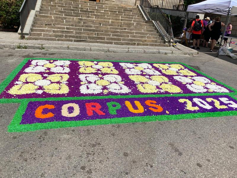 catifes dalt la vila corpus (8)