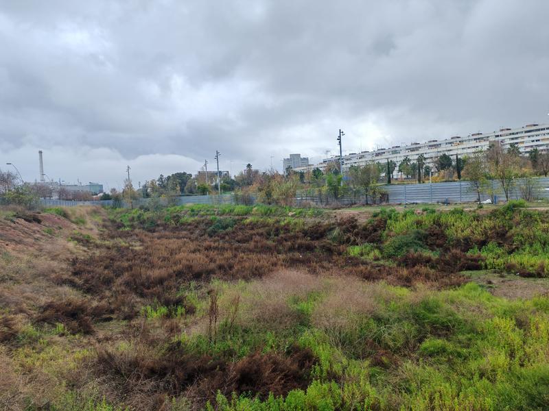 Terreny on es construirà habitatge flexible de Sant Adrià