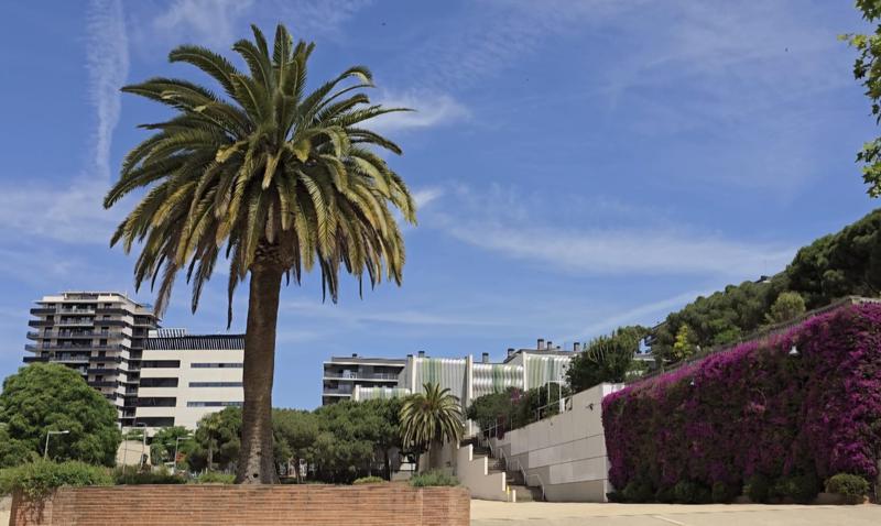 MÉTEO | Dijous amb sol, alguns núvols prims i termòmetre cap amunt