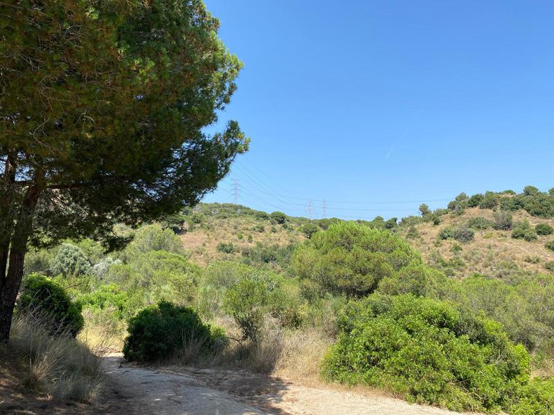 Jornada d'anellament d'ocells aquest dissabte per a conèixer les espècies de la Serralada de Marina