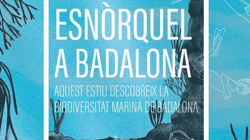 Sortides gratuïtes d'esnòrquel al litoral badaloní