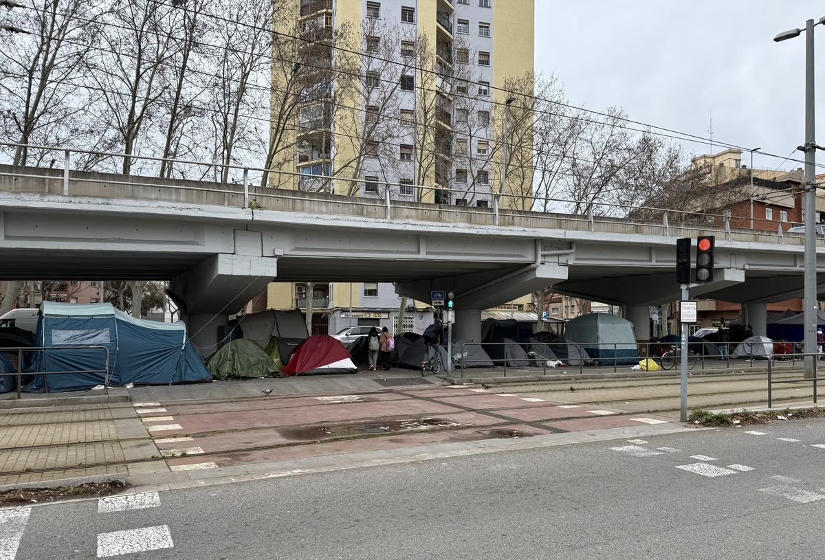 assentament C31 sensesostre