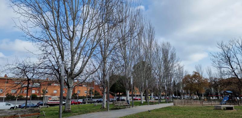 MÉTEO | Retorn cap a un ambient de final d'hivern