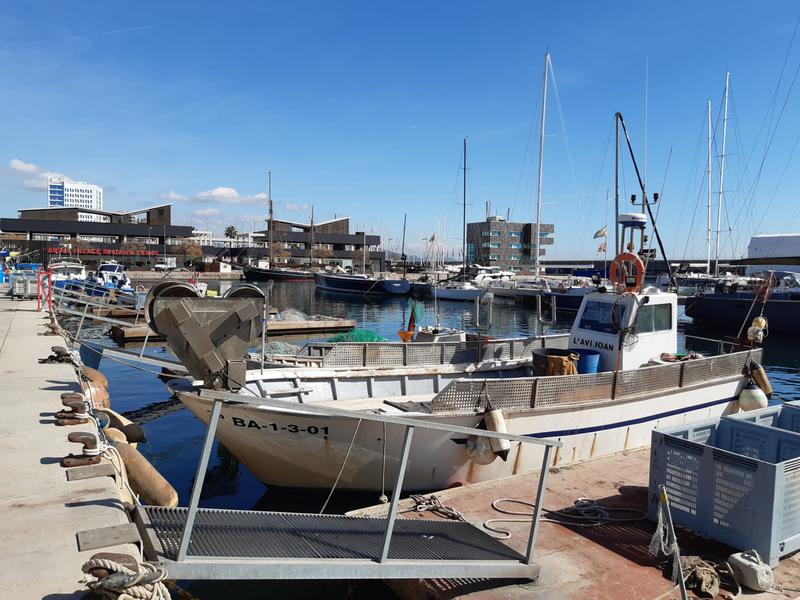 llotja pescadors 3