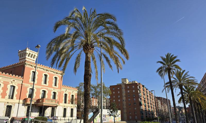 MÉTEO | Dilluns no es repetirà el pic de calor de diumenge