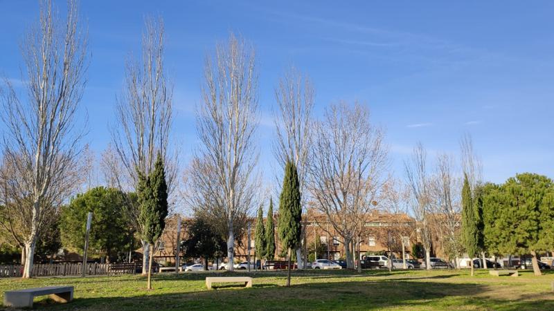 MÉTEO | Dijous assolellat abans d'un canvi de temps