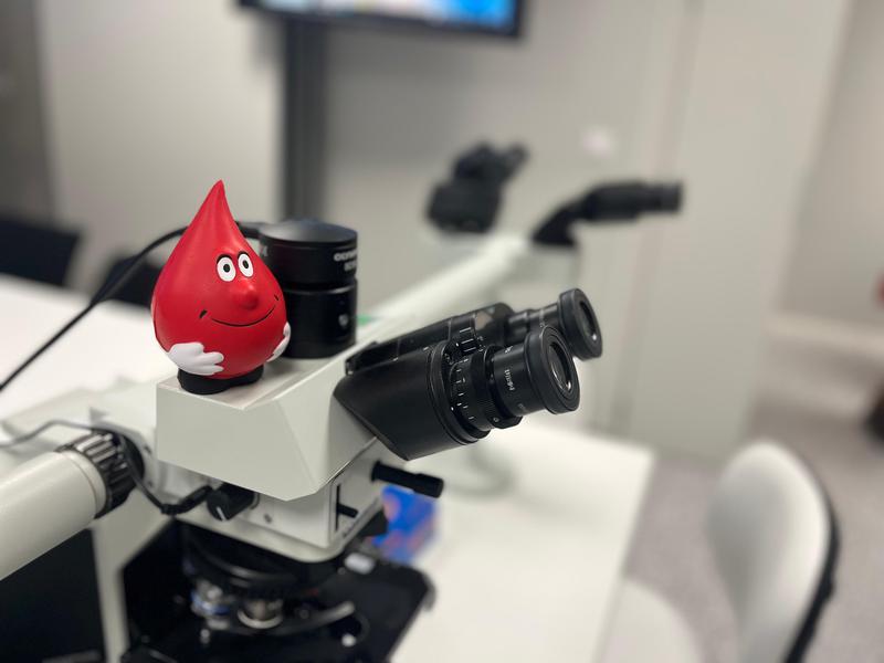 laboratori ICO 6