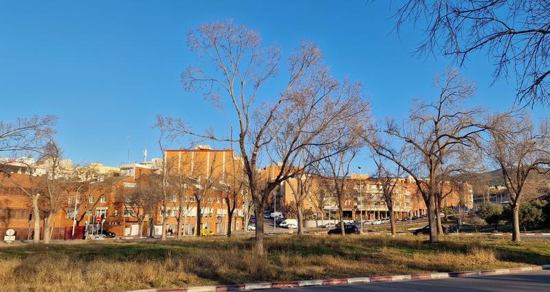 Torna el sol amb una lenta recuperació de la temperatura