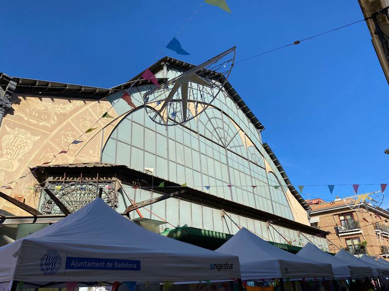 WhatsApp Image 2025-11-15 at 13.03.57