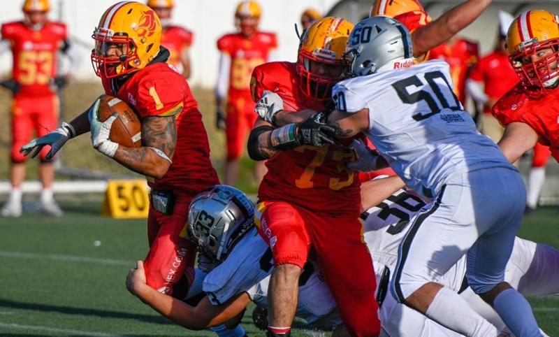 Els Dracs volen tornar a una Spanish Bowl