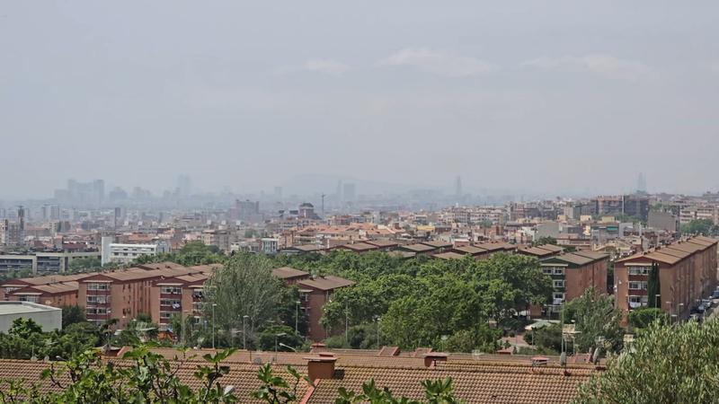 badalona densitat pomar