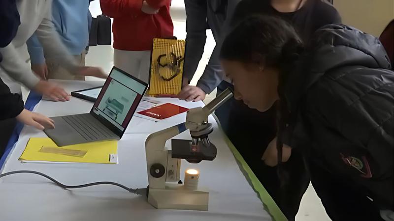 Alumnes d'ESO ensenyen els seus projectes d'art i ciència a la 3a Fira STEAM de ciència al carrer