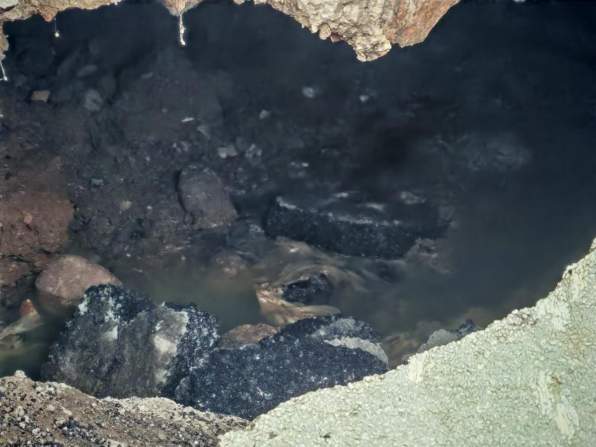 FORAT CARRETERA SANT JOAN DE LLEFIÀ 2