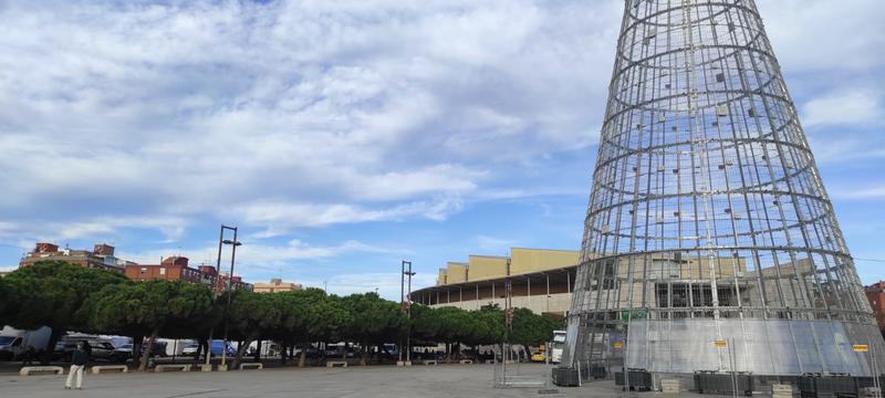 Els restauradors de l'entorn de la Plaça Josep Tarradellas consideren un èxit la instal·lació de l'arbre de 40 metres