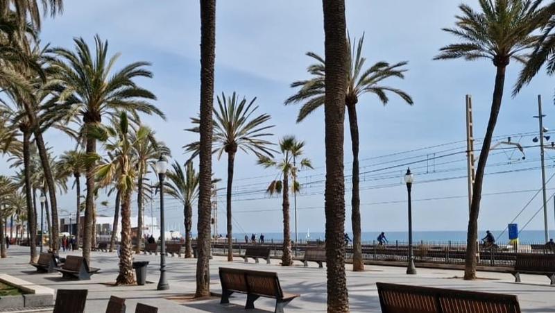 MÉTEO | El vent de ponent facilitarà temperatures de més de 20 ºC