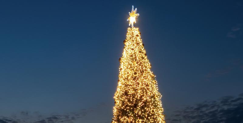 No, l'arbre de Nadal de Vigo no és el més alt d'Espanya
