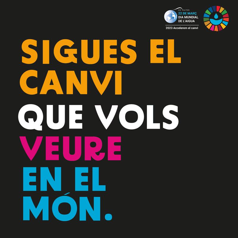 dia mundial de l'aigua