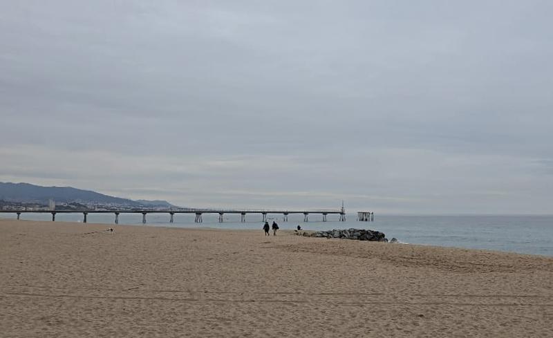 MÉTEO | L'hivern s'estrena amb fred, núvols i ambient humit