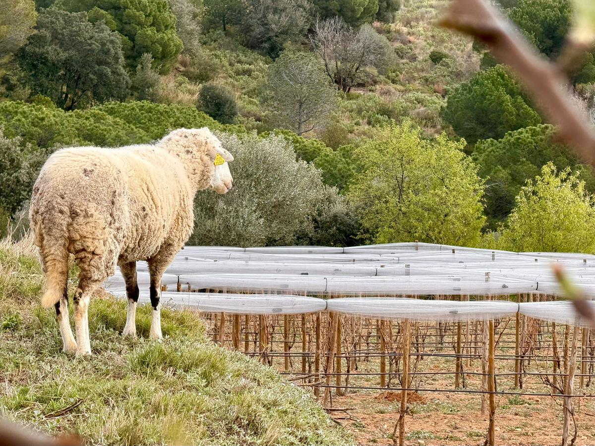 WhatsApp Image 2026-03-02 at 14.20.16 (1).jpeg