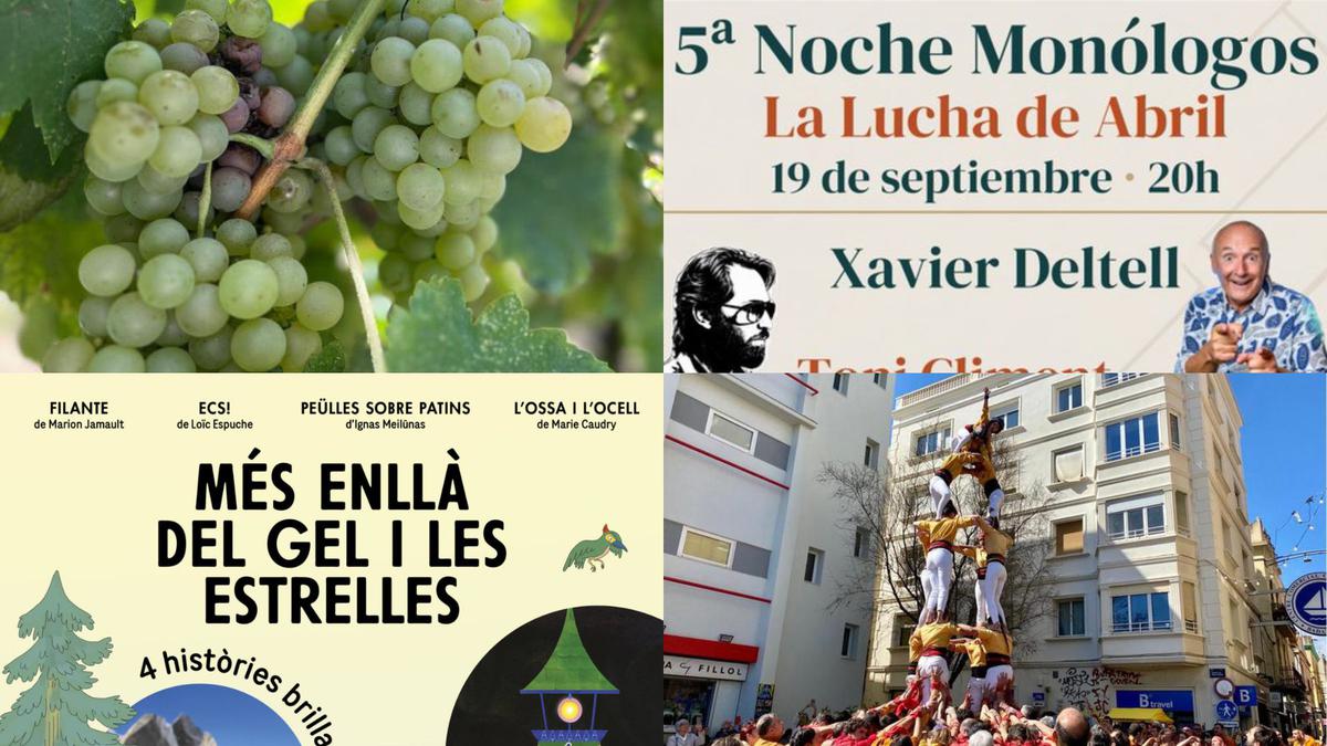 festa-verema-monolegs-solidaris-i-cinema-infantil-agenda-cultural-cap-setmana-badalona