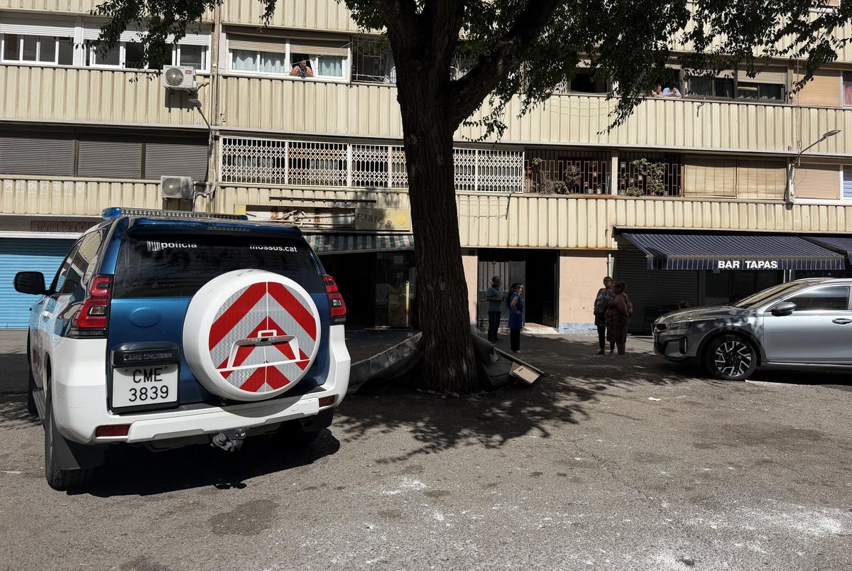 llibertat-amb-mesures-cautelars-per-la-mare-del-nado-trobat-mort-a-la-mina