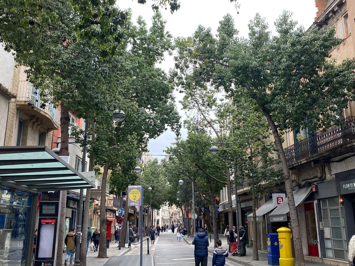 WhatsApp Image 2026-02-28 at 13.53.00 (1).jpeg