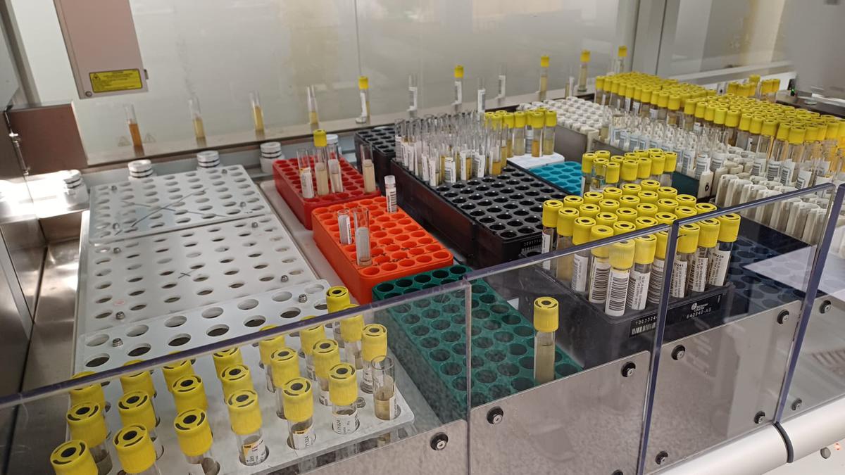 10-anys-processant-mostres-biologiques