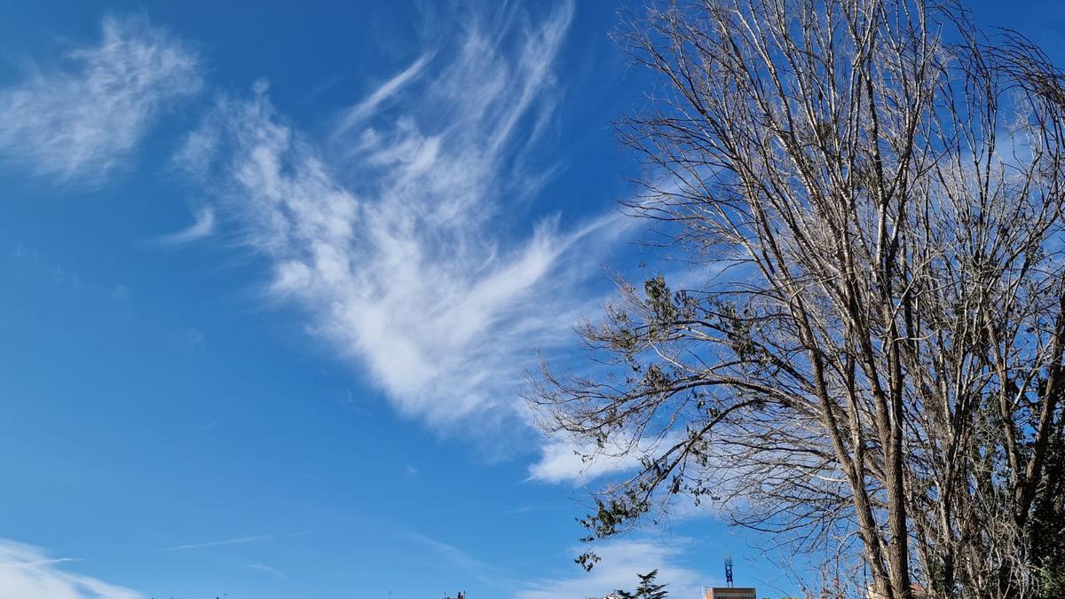 dimarts-dambient-primaveral